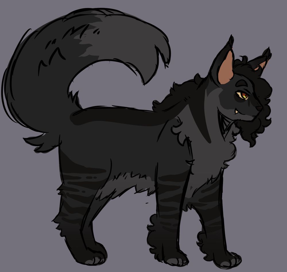 A sketch of a black tabby cat. 