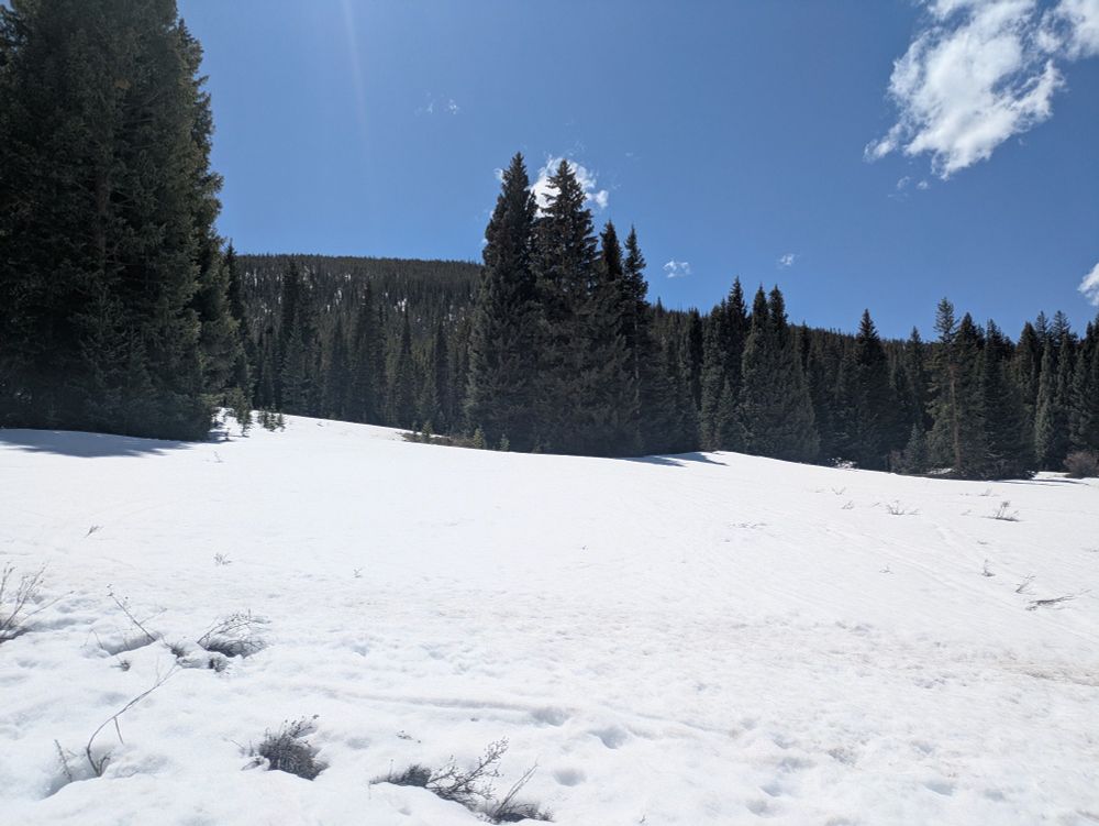 Snow covered hiking trail in the mountains of Colorado 