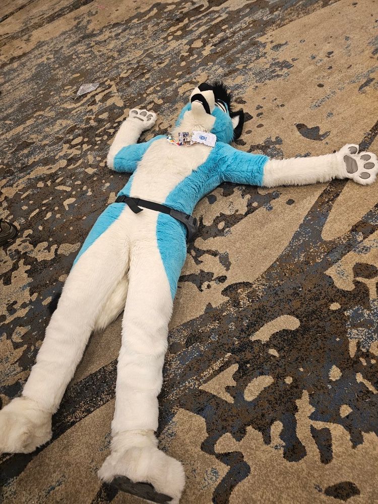 Varadime (blue wolf fursuit) lying on the ground playing dead 
