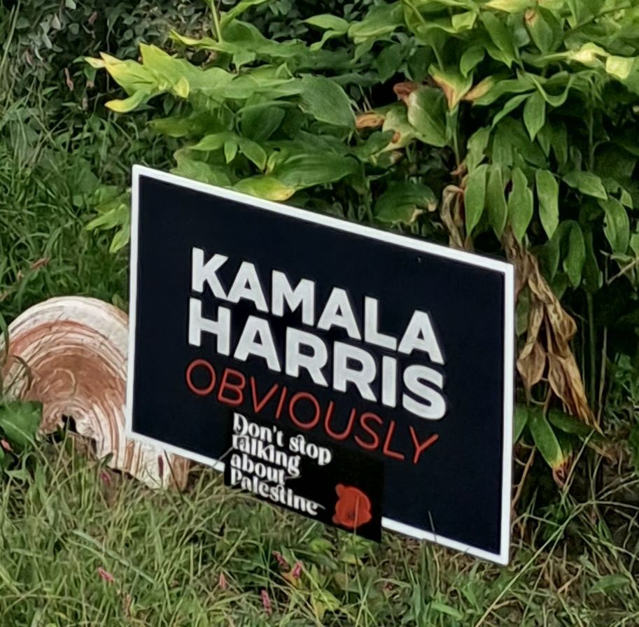 Kamala Harris "Obviously" 2024 campaign sign.