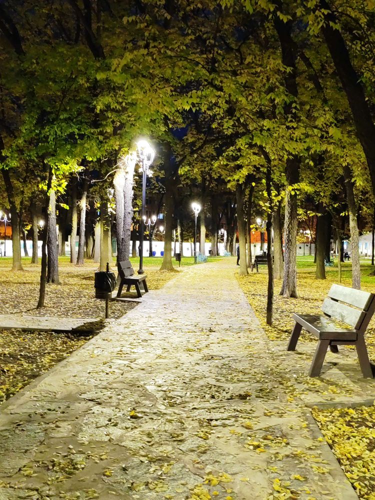 O poză pe zi. Atât e voie aici?