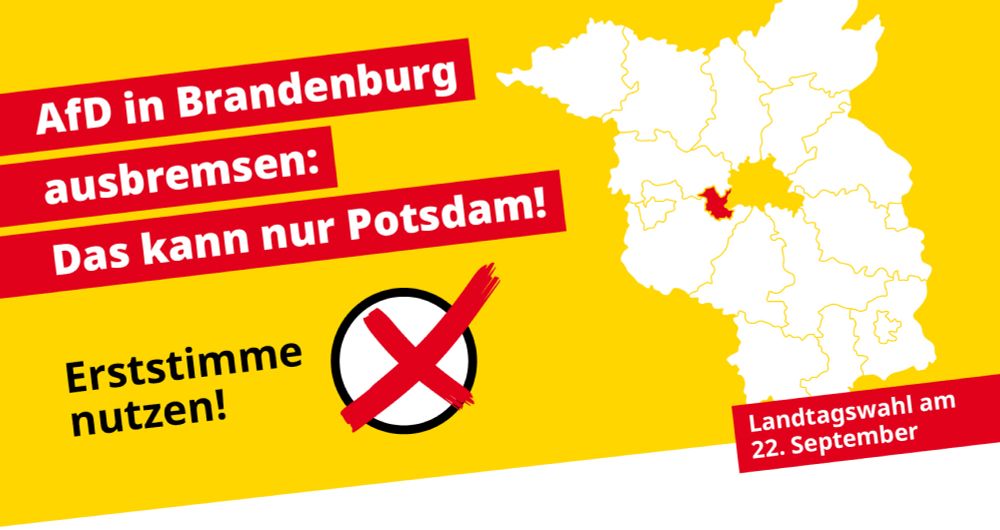 Potsdam: Stoppt die AfD!