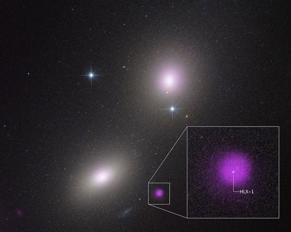 NASA’s Hubble & Chandra have spotted a rare intermediate-mass black hole ripping apart a star in a quiet galaxy—only the second time such an event has been seen! It gives clues about how massive black holes grow.

Image credit: NASA, ESA, CXC, STScI