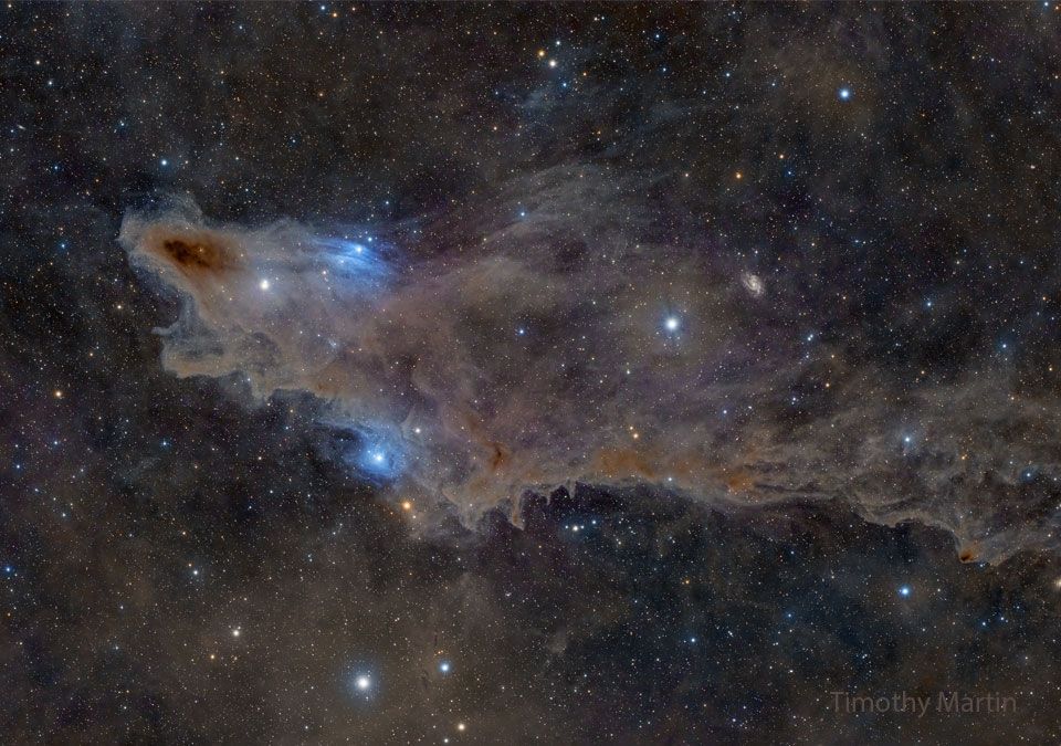 The Shark Nebula: A cosmic predator made of interstellar gas & dust, harmlessly floating 650 light-years away in Cepheus. Massive stars sculpted this 15 light-year structure with their energy. See smaller dust nebulae too. 

Credit: Timothy Martin