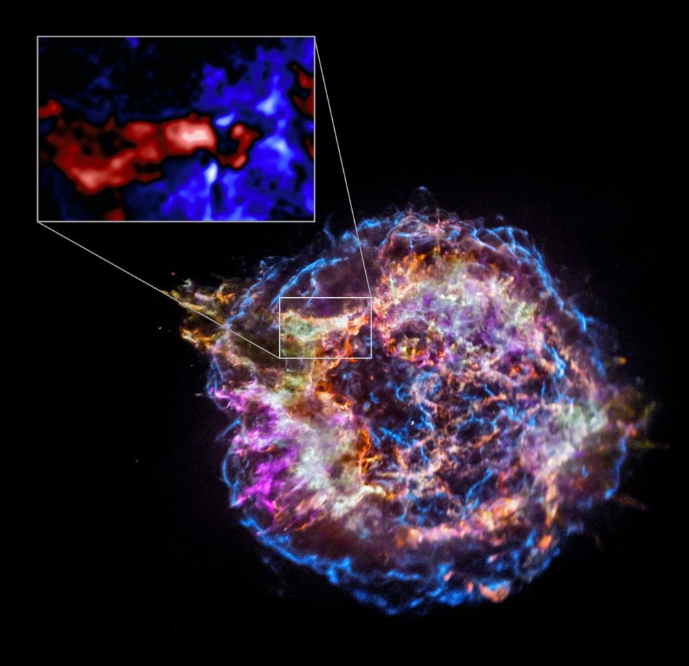 Hours before its death, a massive star violently reshuffled its insides—then exploded into Cassiopeia A. NASA’s Chandra data reveals this last-minute chaos, offering new clues into how stars live, die & transform the cosmos

Credit: NASA/CXC/Meiji Univ./T. Sato et al.