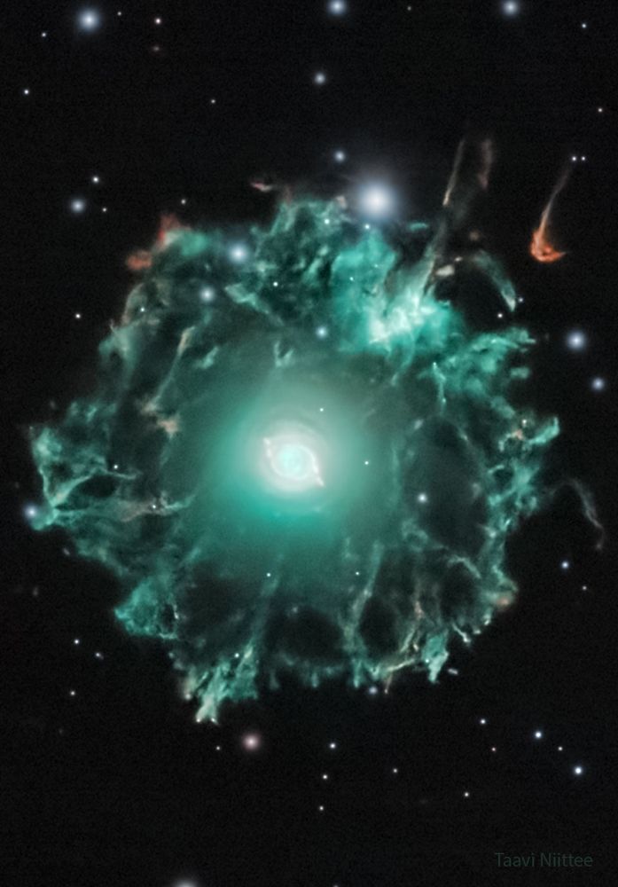 What created the Cat's Eye Nebula's bizarre halo? This image highlights its intricate outer structure, spanning over 3 light-years. Likely formed by earlier, puzzling events in the dying star's life, this halo is far older (50-90k years) than the nebula itself (10k years).

Credit: Taavi Niittee 