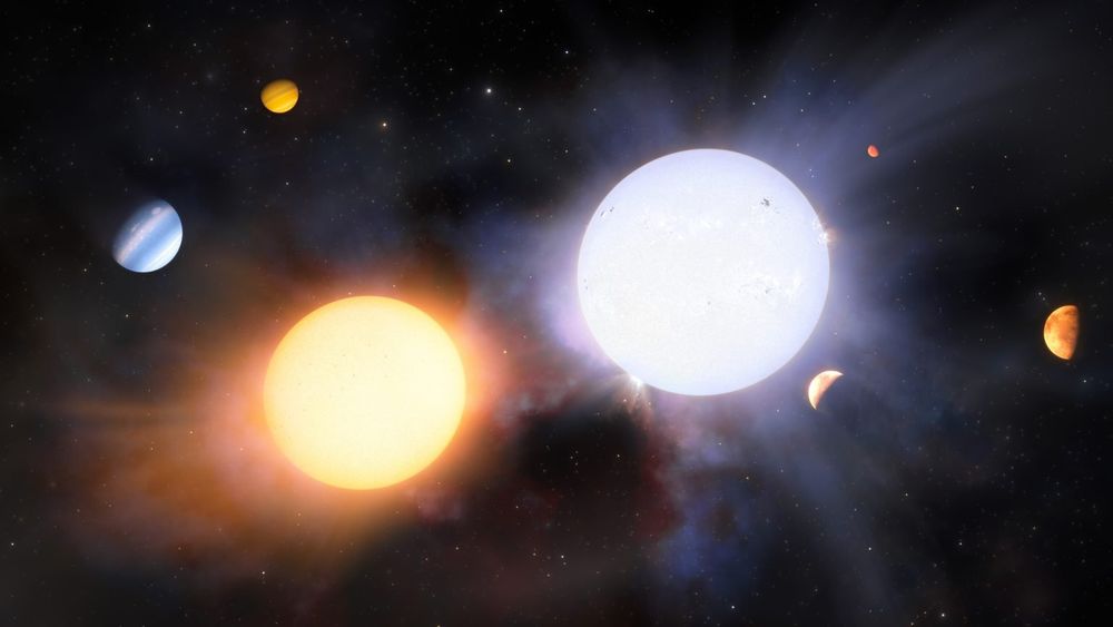 Astronomers have found a giant planet orbiting its star backwards, defying planetary formation theories! This rare retrograde orbit could reveal dramatic past interactions with other stars or planets. Space just got weirder. 

Credit: NOIRLab/NSF/AURA/J. da Silva (Spaceengine)/M. Zamani