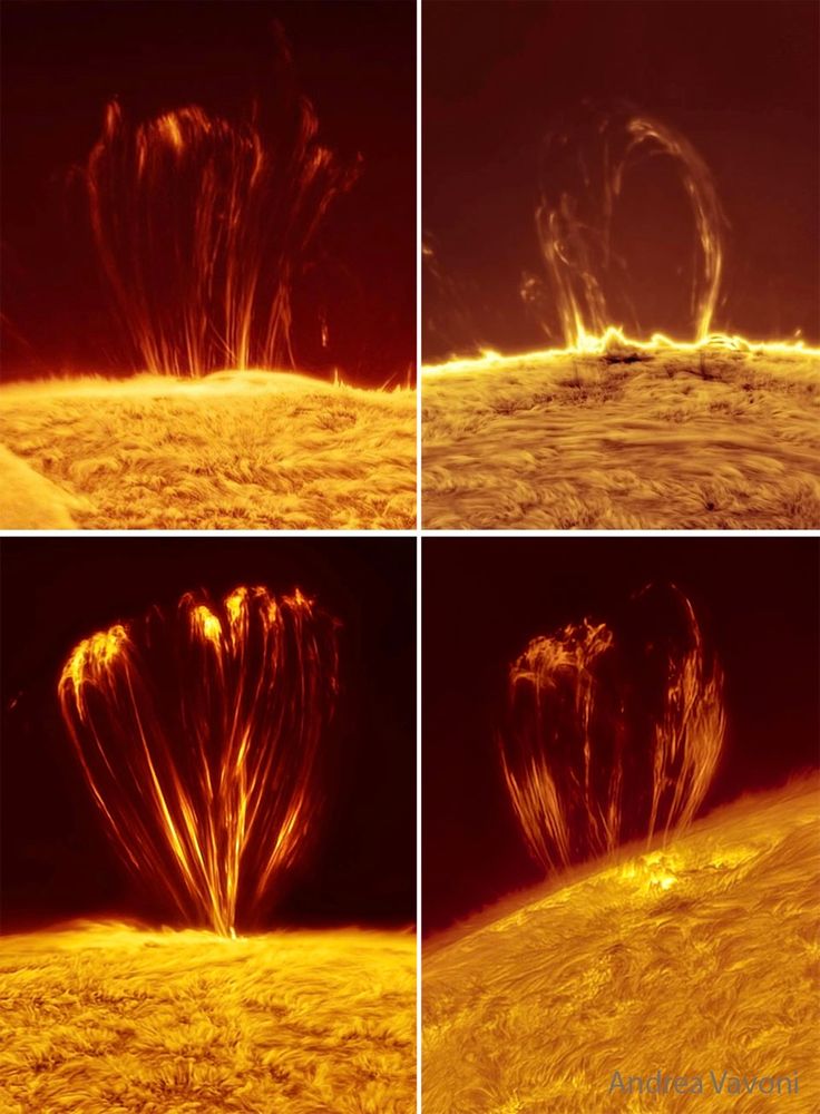 Majestic coronal loops dance above the Sun’s surface huge arcs of hot plasma shaped by magnetic fields. These stunning loops can last for days and are often found near sunspots. Some even unleash solar storms affecting Earth’s space weather!

 Credit: Andrea Vanoni