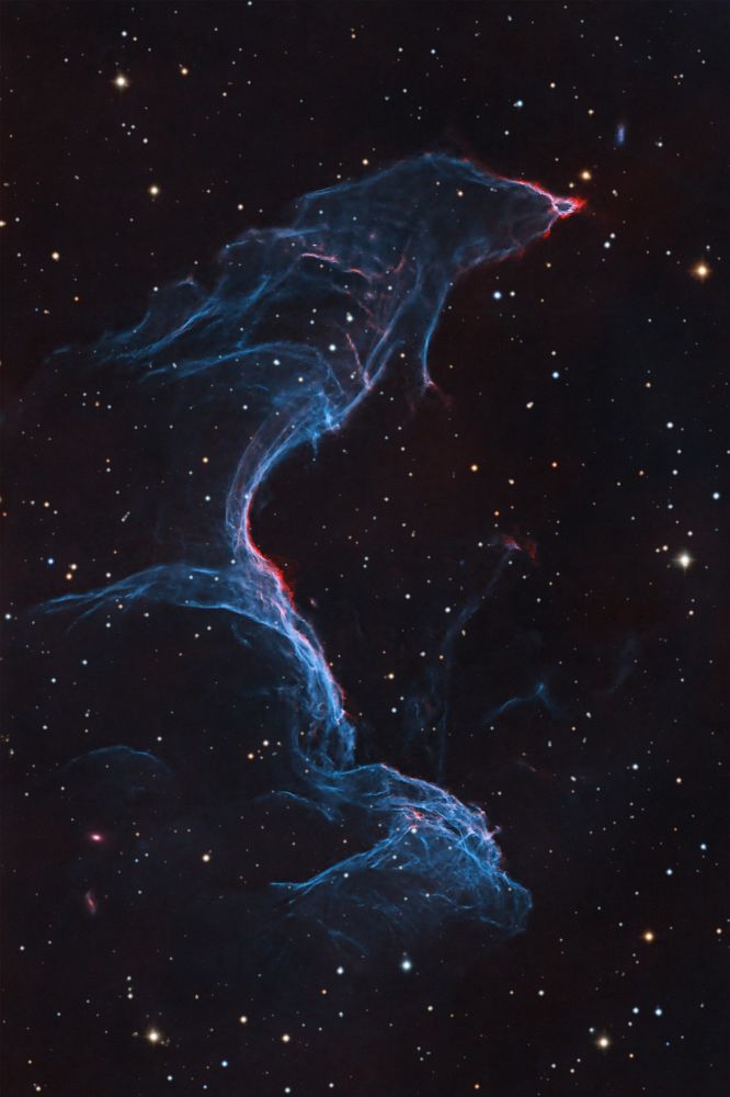Mermaid Nebula, a stellar remnant where new stars are born! This two-sided supernova remnant, also called the Betta Fish Nebula, glows in blue (oxygen) & red (hydrogen). 
Credit: Neil Corke.