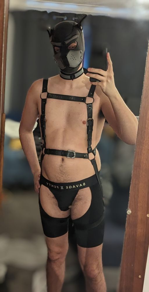 Ty, a pup, in chapped underwear and leather body harness