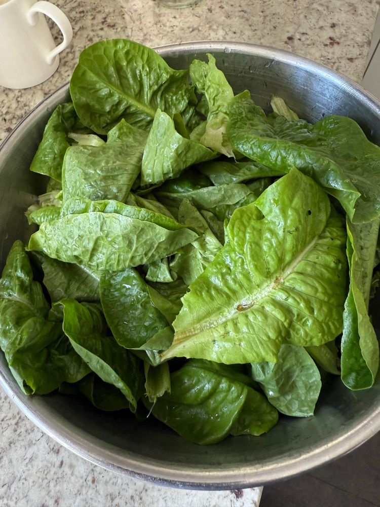 A bowl of Little Gem lettuce leaves. 