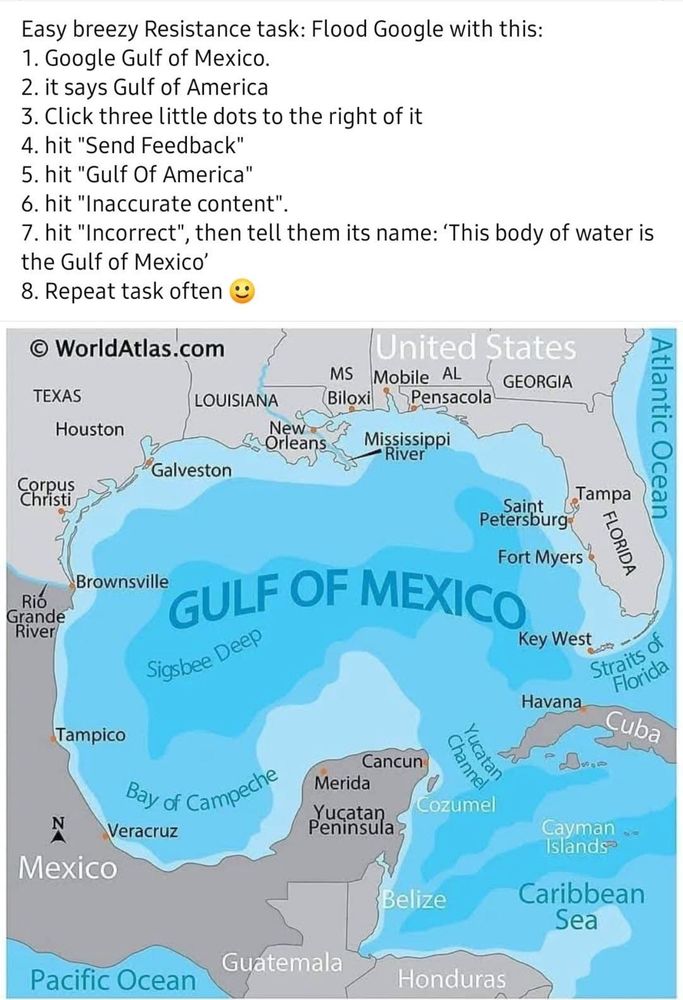 Easy breezy Resistance task: Flood Google with this:
1. Google Gulf of Mexico.
2. it says Gulf of America
3. Click three little dots to the right of it
4. hit "Send Feedback"
5. hit "Gulf Of America"
6. hit "Inaccurate content"
7. hit "Incorrect"
', then tell them its name: 'This body of water is
the Gulf of Mexico'
8. Repeat task often
.)