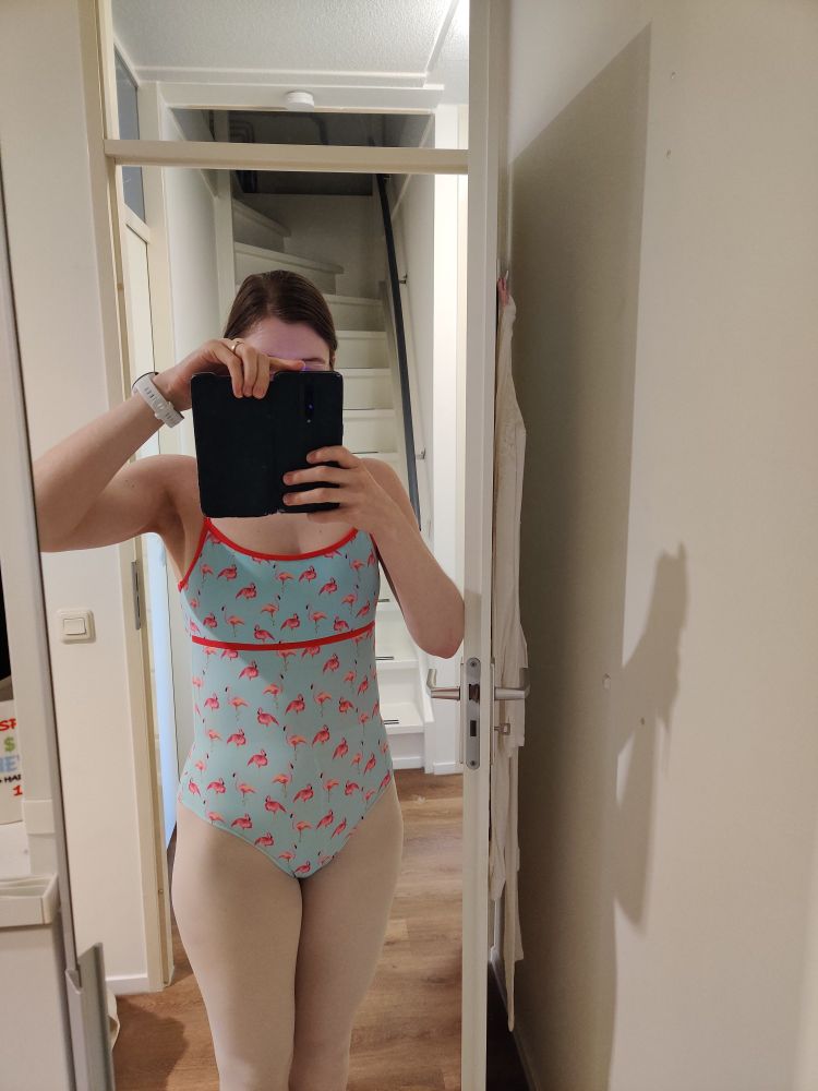 Ik sta voor de spiegel met een balletpakje aan, die heb ik gemaakt van lycra in een lichtblauwe kleur met flamingo's er op.  De boordjes en schouderbandjes zijn felroze. 