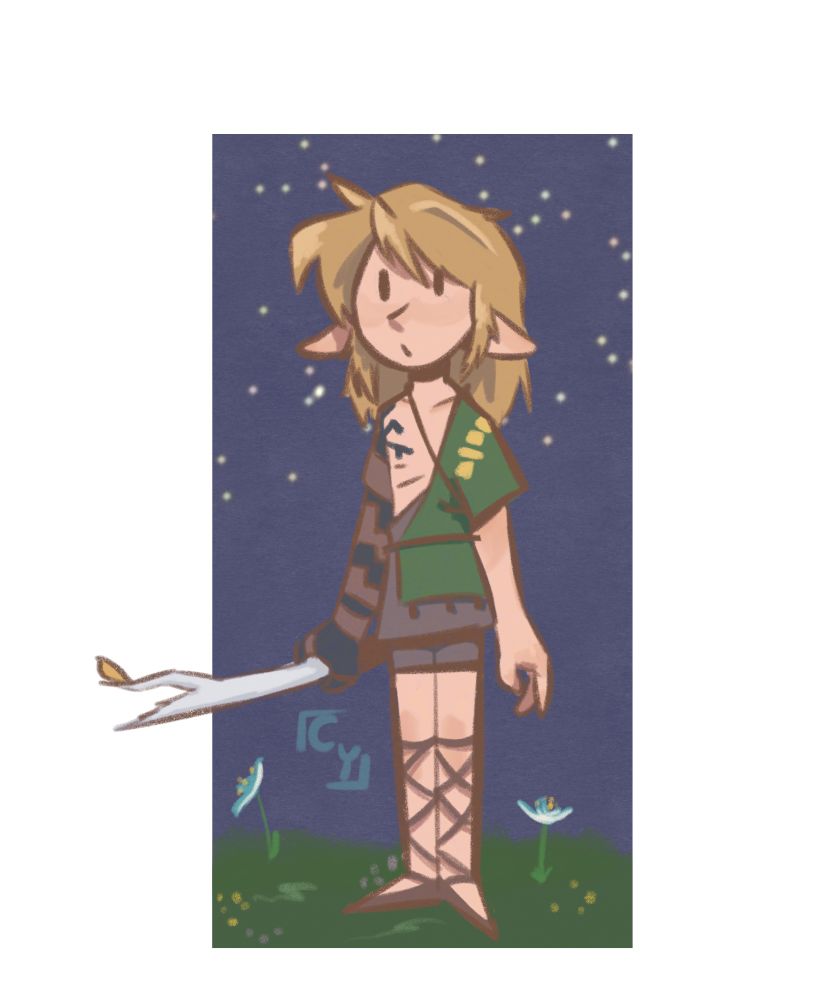 Link from legend of Zelda - tears of the kingdom 