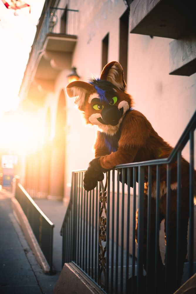 Maned Wolf fursuit leaning over a metal railing in an urban setting with the sun setting behind him casting glare into the frame.