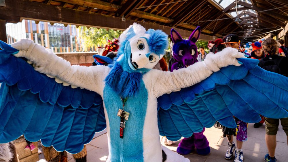 In the picture you can se the Suit of the Draogn Reiko, a white suit with Cyan belly and darker blue Wings and mane. He's spreading his wings, giving the camera a good view of them. in the background are more suiter from the Fursuit Parade at Eurofurence 28