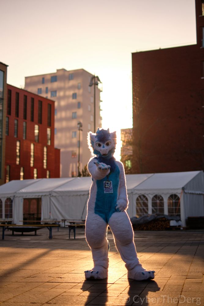 Reiko in fursuit standing in front of the sunset between buildings reaching out his paw towards the viewer (taken in Malmö, Sweden at Nordic Fuzzcon)