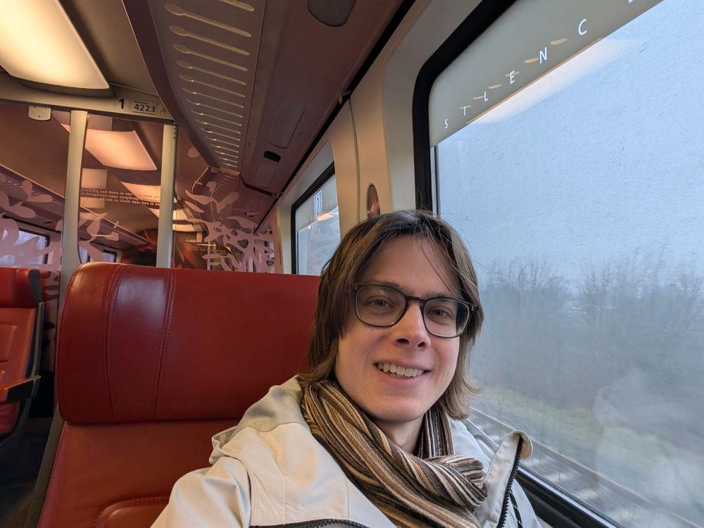 Skye sitting in a Dutch train. She is seated in the first class of an NS ICM with its distinctive red-coloured upholstery.

The photo includes a slight view through the window. The weather is dreary and foggy. Trees without leaves are just visible in a blur.

The train's ID code is in shot, it is 4223.