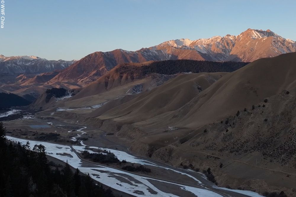 Landscape of mountains and river during sunset, the sky clear blue. Captured at Qilian Mountain National Park. 