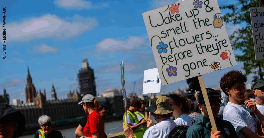A group of people holding protest signs near the Houses of Parliament in Westminster. One prominent sign reads, “Wake up and smell the flowers before they’re gone.” The mood is peaceful but urgent, with participants standing together to call for action on climate and nature.