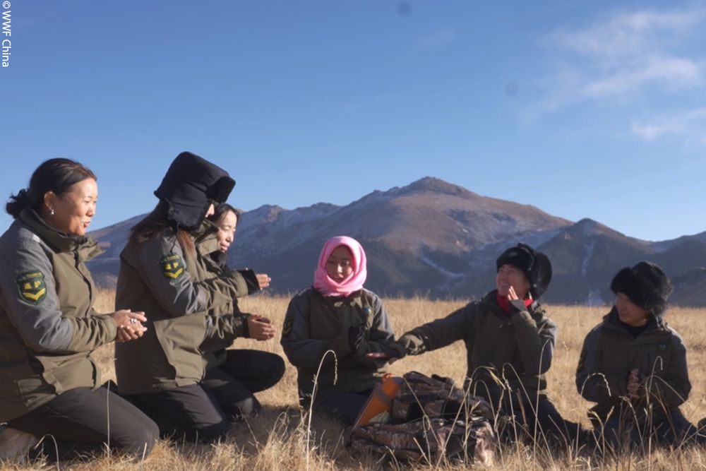 Five members of the wildlife ranger team sat amongst brown grasses together outdoors while they talk and laugh together. Behind the mountain landscape stands out against the blue sky.  