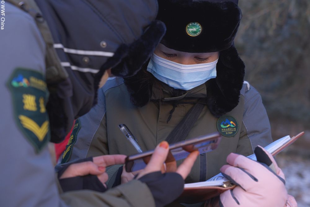 Two female wildlife rangers stand huddle together with notepads and pens as they record data in the field.  