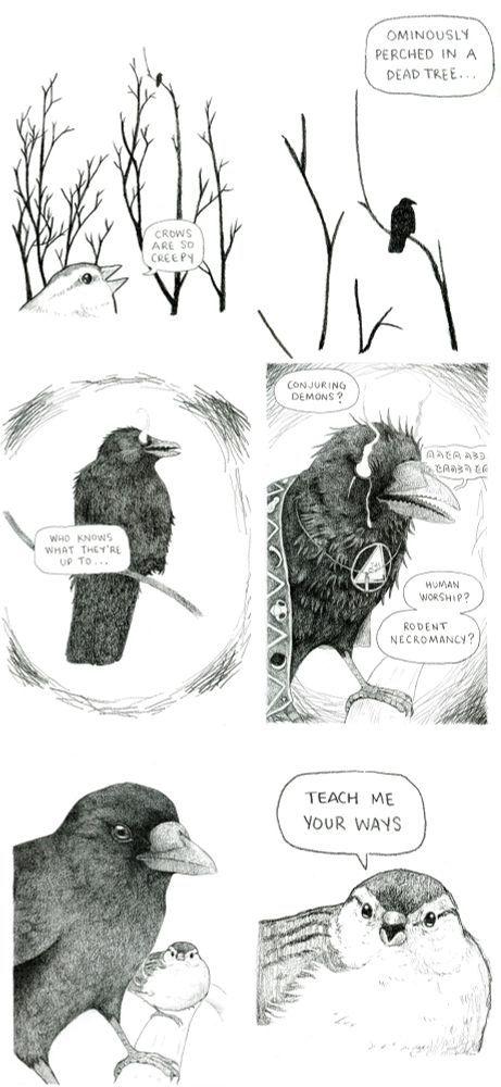 A small sparrow looks up into the bare branches of a tree where a distant crow is perched. "Crows are so creepy," it says, "ominously perched in a dead tree...". The sparrow starts to see the crow with glowing eyes and jagged teeth, "who knows what they're up to...". The crow is now seen wearing strange occult symbols, a strange liquid drips from its eye, it is muttering something in an eerie and unknown language. "Conjuring demons?" the sparrow continues postulating, "Human worship? Rodent necromancy?" The crow is now seen as a normal crow, and the sparrow is right beside it, looking at it, and says: "Teach me your ways"