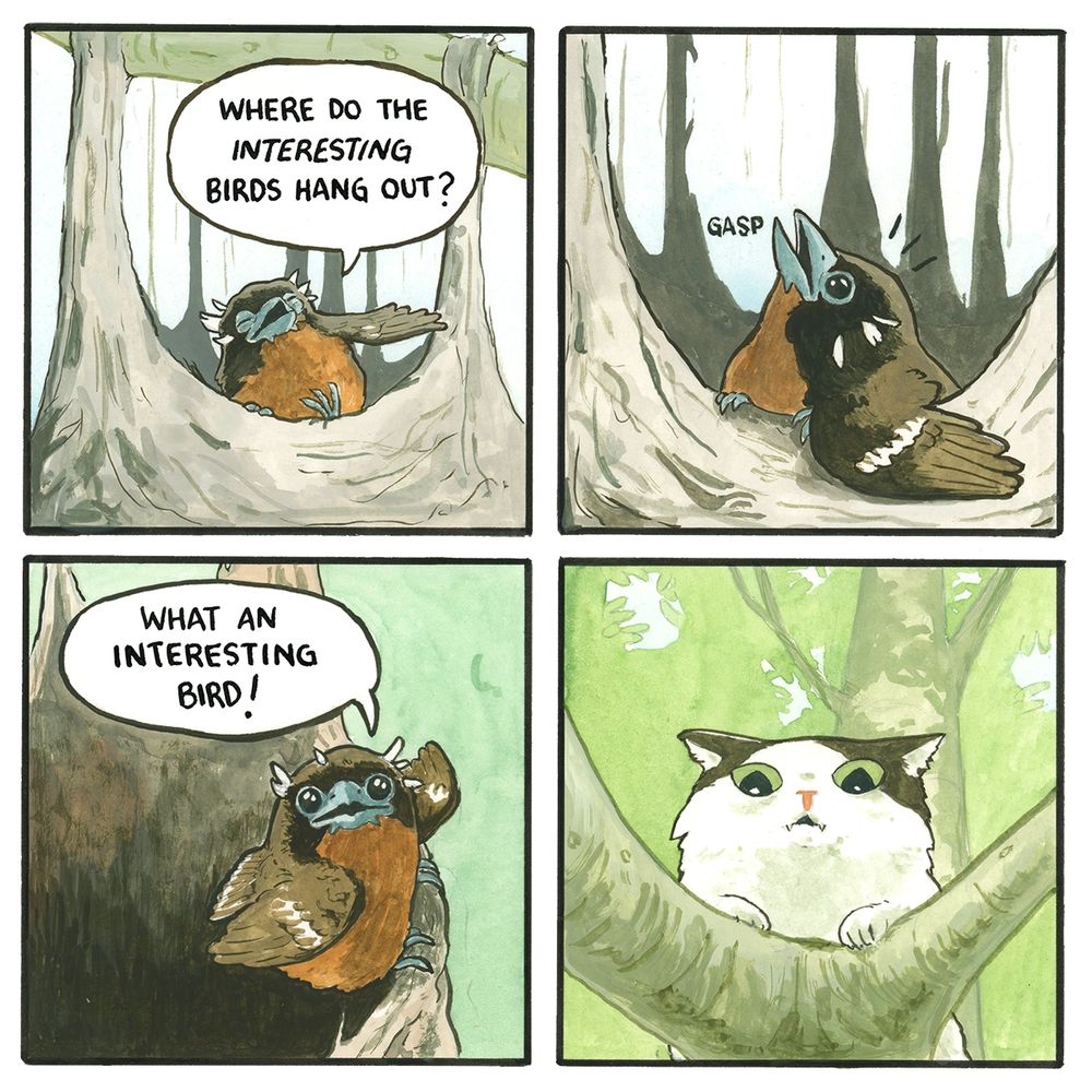 Fledgling is emerging from the top of her nest, squinting, asking out loud to no one "where do the interesting birds hang out?". She then looks up, gasps and says "what an interesting bird!". In the final frame we see a nasty white and black long-haired cat perched on the branch above the nest looking down at her.
