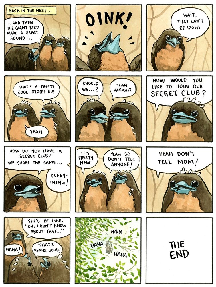 Back in the nest, our protagonist is recounting her adventure to her siblings "... and then the giant bird made a great sound..." She throws her head back and yells "OINK!" then quickly says to herself "wait, that can't be right." Her siblings say "that's a pretty cool story sis" "yeah". And quietly confer with each other "Should we...?" "Yeah alright" and ask Fledgling "How would you like to join our SECRET CLUB?" "How do have a secret club? We share the same... everything!" she replies. "It's pretty new" they say "yeah, so don't tell anyone!" "Yeah don't tell mom!" Fledgling agrees "She'd be like: 'oh, I don't know about that...'"  The siblings respond "Haha!" "That's really good!" All erupt into gleeful laughter as we leave the chicks in their nest in a happy ending, and why would anyone expect otherwise from your friendly bird comics creator, Mr. False Knees. The End.