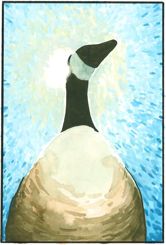 ...and sees a heroic sight, the saviour goose, backlit in sunlight, has taken on an angelic appearance.