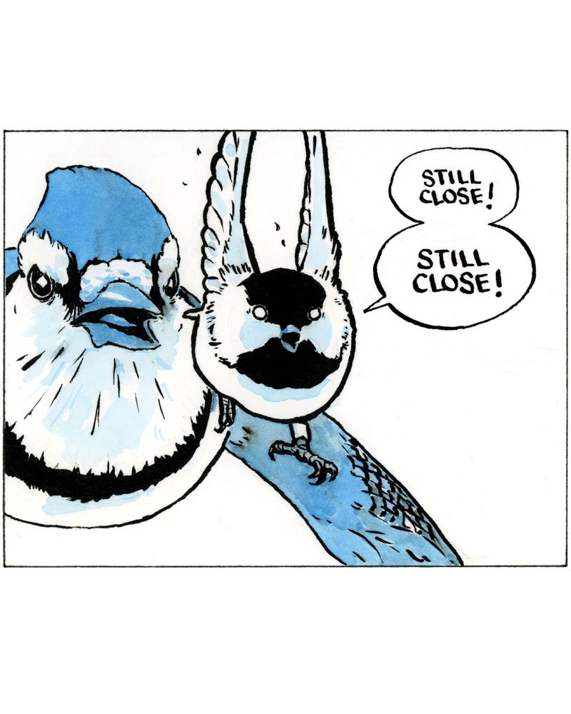 Comment image