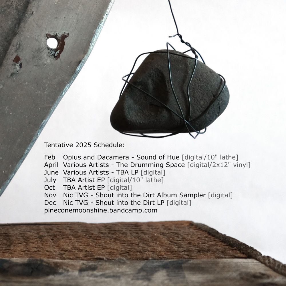 Close up of an abstract sculpture with months and releases for the record label Pinecone Moonshine:

Feb		Opius and Dacamera - Sound of Hue [digital/10" lathe]
April	Various Artists - The Drumming Space [digital/2x12" vinyl]
June	Various Artists - TBA LP [digital]
July		TBA Artist EP [digital/10" lathe]
Oct		TBA Artist EP [digital]
Nov		Nic TVG - Shout into the Dirt Album Sampler [digital]
Dec		Nic TVG - Shout into the Dirt LP [digital]
pineconemoonshine.bandcamp.com