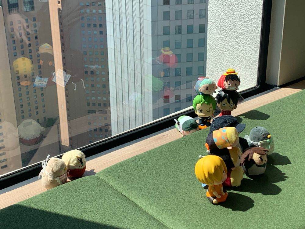 コロバニさんとちゅんバニさん、ムギまみれのゾロとルフィが見守る撮影会