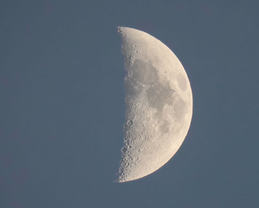 The waxing crescent moon at 44% against a pale blue sky