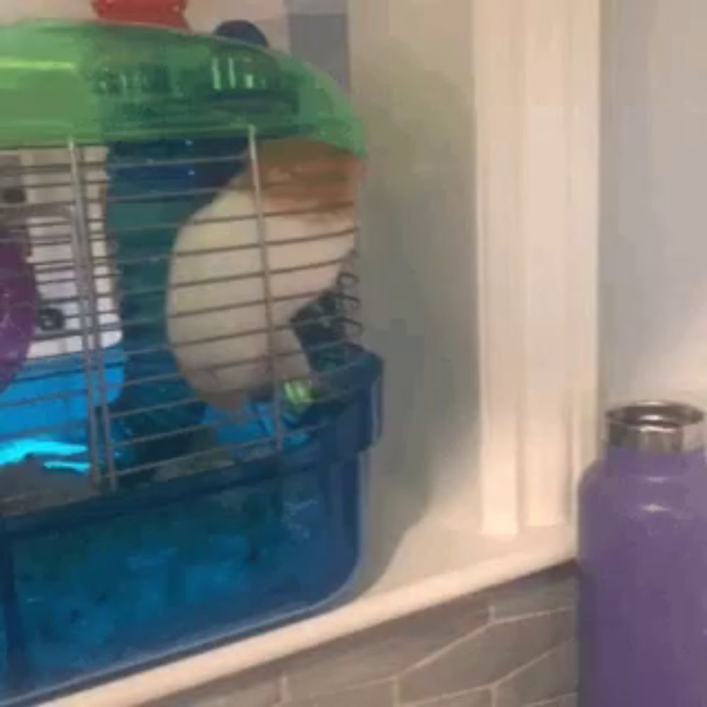 a hamster is in a cage next to a purple bottle