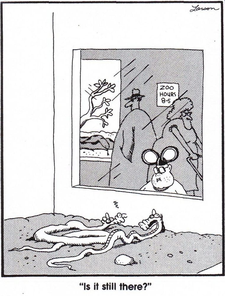 A Far Side comic where a bunch of snakes keep hitting their head against a glass wall trying to get a Mickey Mouse ear wearing kid.

Snake: Is it still there?
