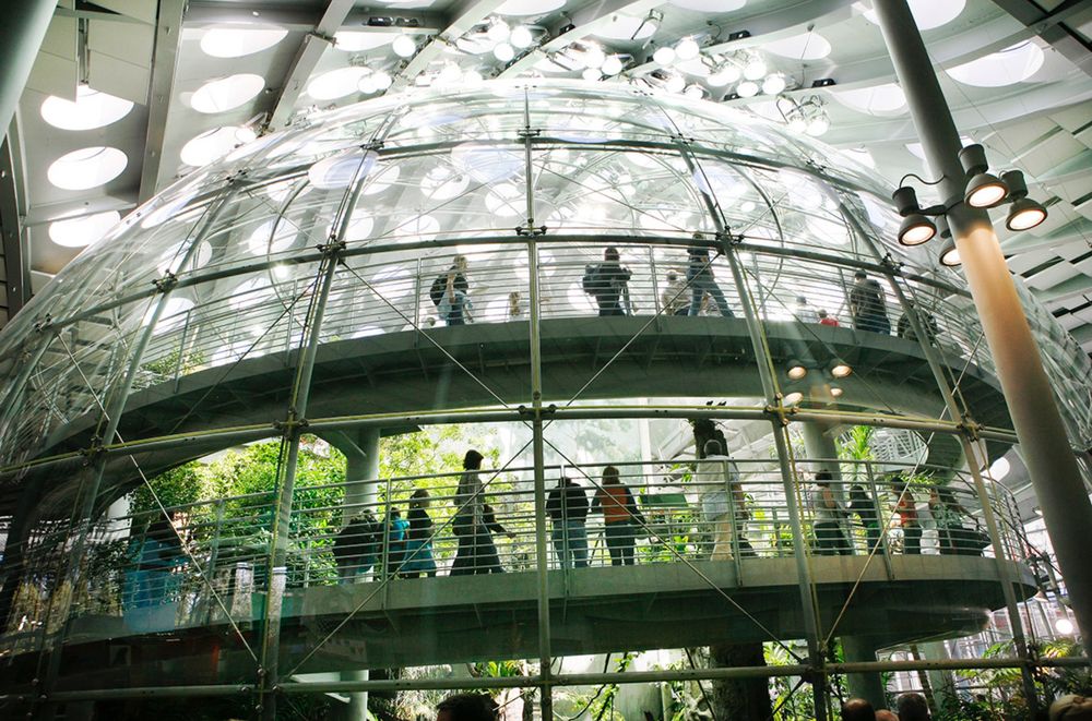 California Academy of Sciences reeling from budget cuts