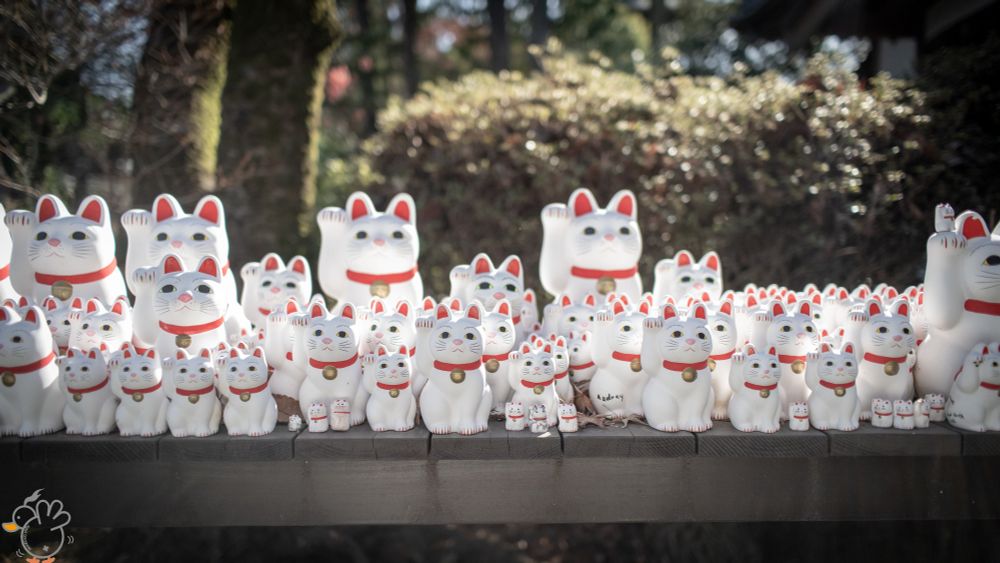 Japanise Fotune Cat, Gotokuji Temple, Tokyo
D850, COLOR-SKOPAR 28/2.8, 28mm, f/3.5, 1/640s
