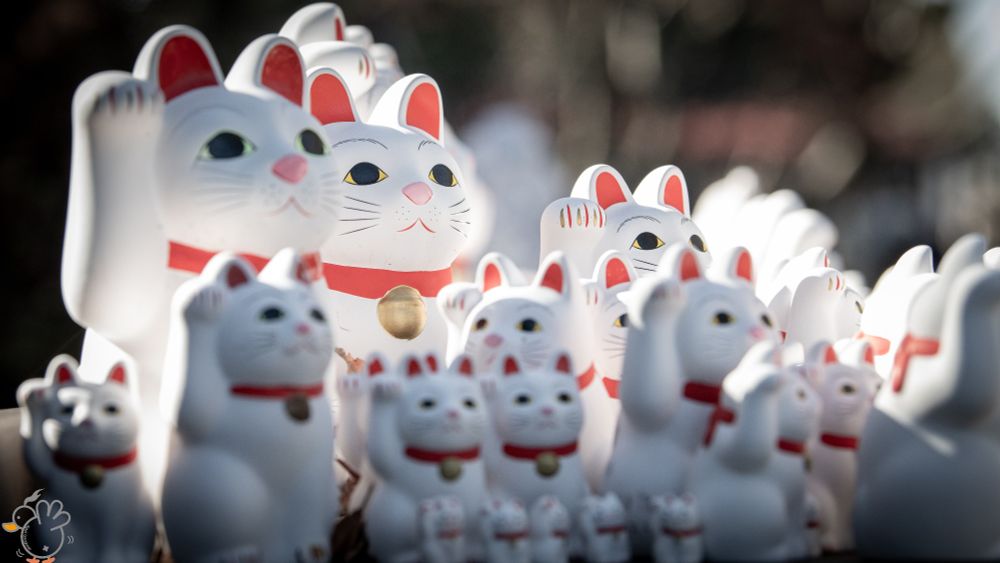 Japanise Fotune Cat, Gotokuji Temple, Tokyo
D850, 70-200/2.8, 120mm, f/6.3, 1/640s

