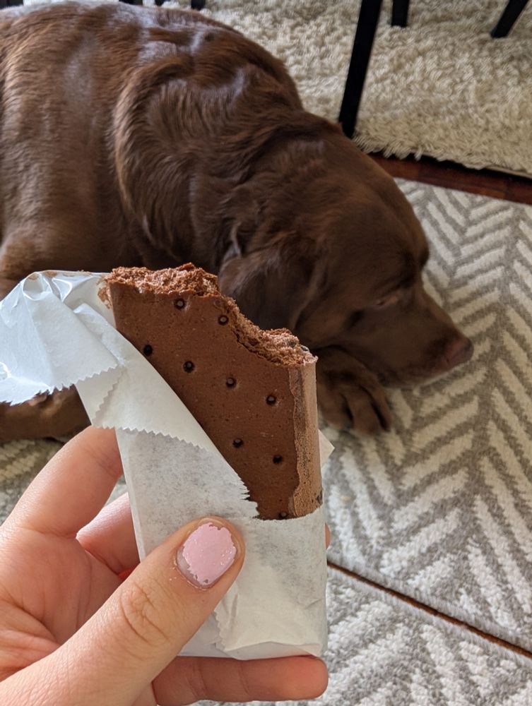 person eating ice cream sandwich next to a dog