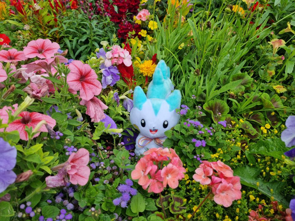 A Pachirisu plush surrounded by pink, purple, red, and yellow flowers in a flower bed.
She has a big smile on her face and has a pretty rainbow bow around her neck!