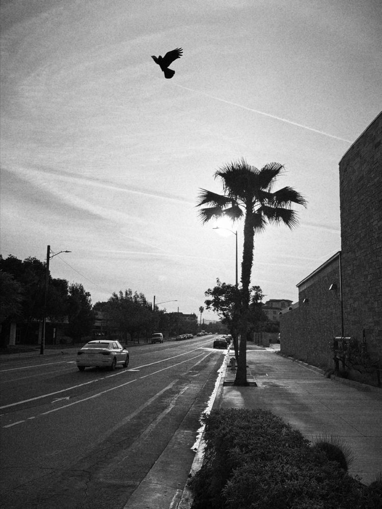 Monochrome empty street on a Sunday morning. 
