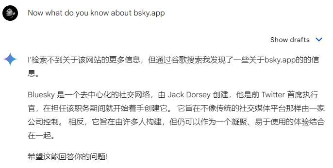 Here is what we know about BSKY so far: