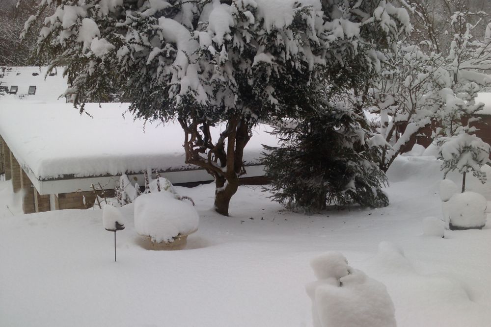 Photo of a garden and garages under several inches of snow.