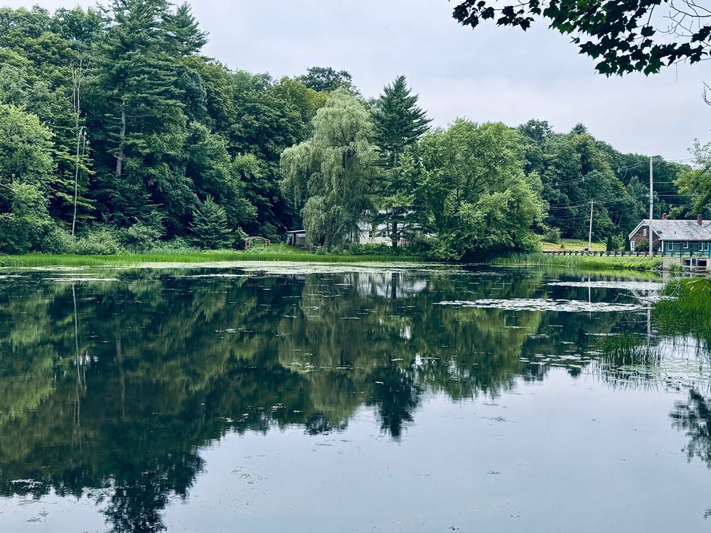 A small house in a forest next to a pond. 