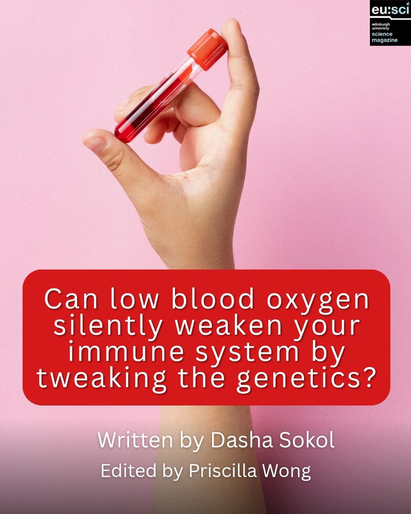 Text reads: Can low blood oxygen silently weaken your immune system by tweaking the genetics? Written by Dasha Sokol Edited by Priscilla Wong. Background image is a hand holding a vial of blood with a light pink background and the EuSci logo in the top right corner