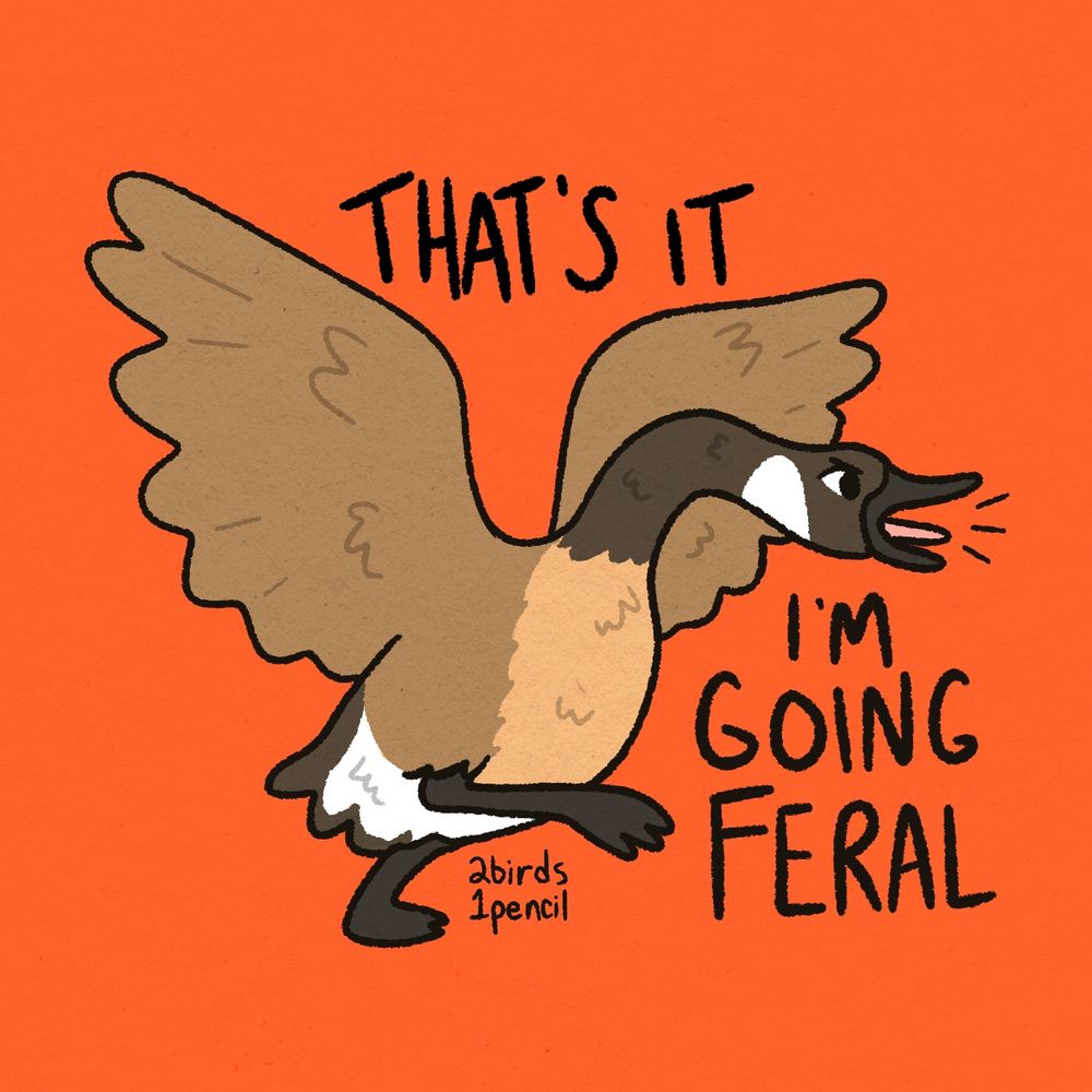 A digital illustration of an angry Canada goose. They're flapping their wings, stomping, and honking. Text around them reads,
"That's it
I'm going feral"
