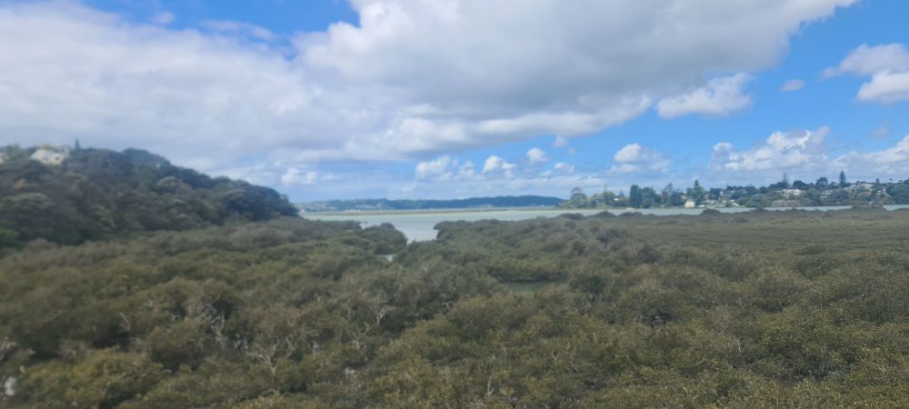The view from Massey East to Birkenhead
