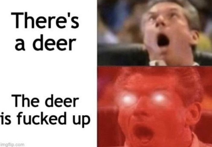 Last two panels of Vince McMahon meme where he gets progressively more excited until he turns red and gets laser eyes. Text says "there's a deer" and "the deer is fucked up."