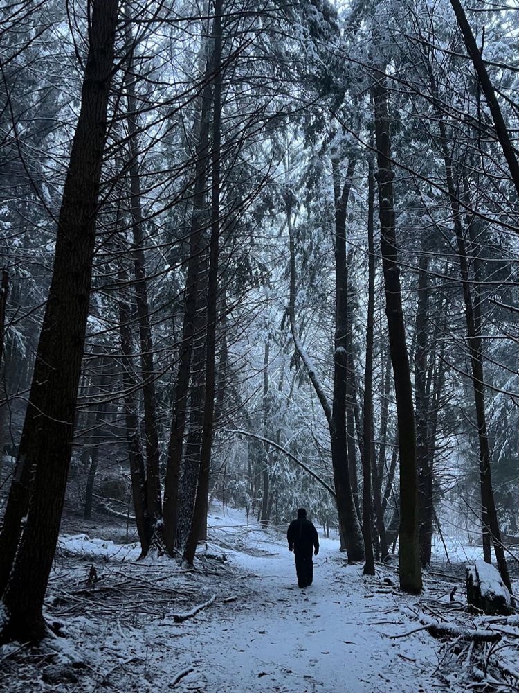 A small figure walking in a dark snowy forest 